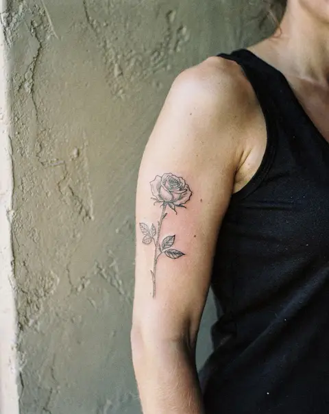 Damask rose, upper arm