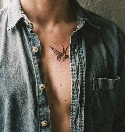 Swallow, under the collarbone